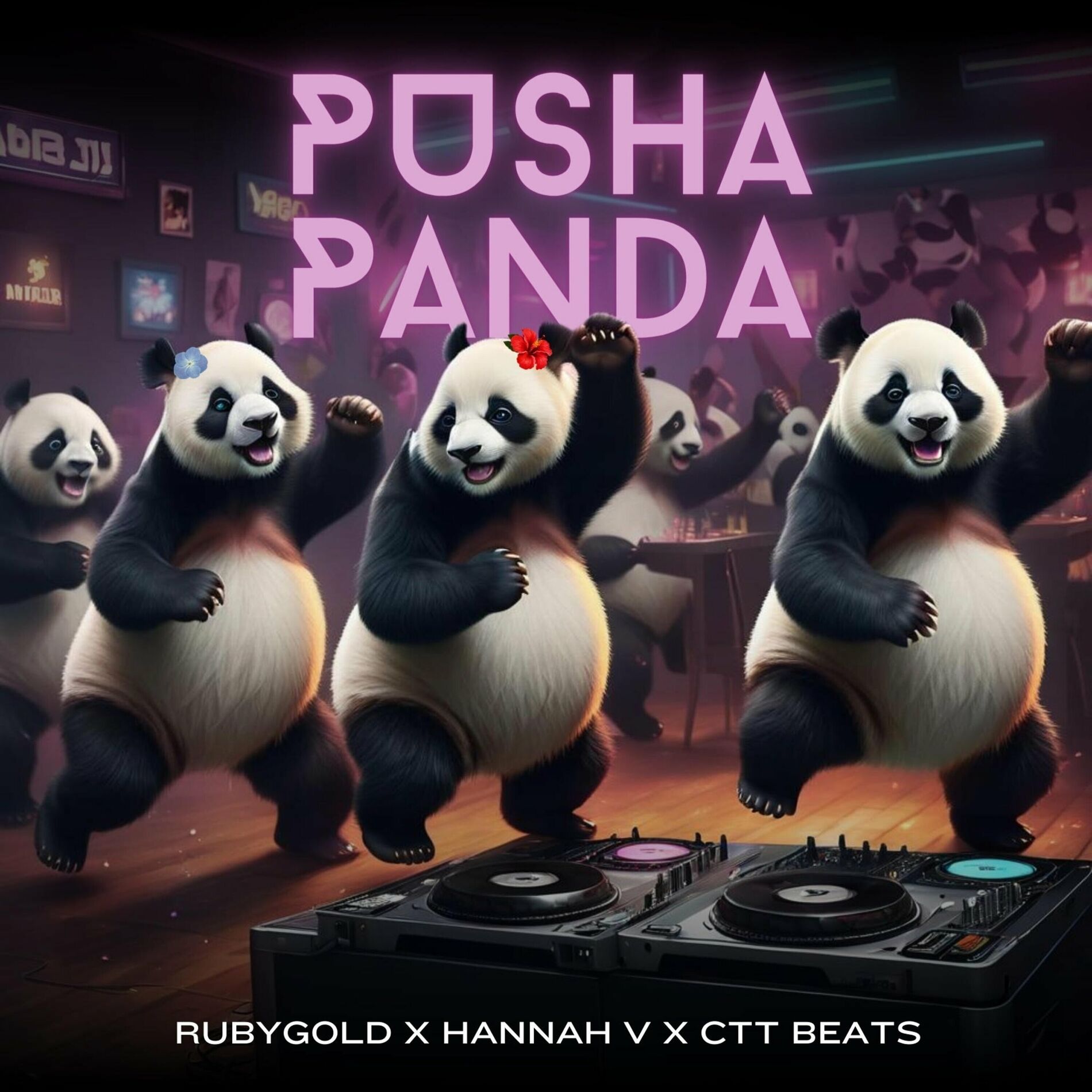 Album cover of Pusha Panda