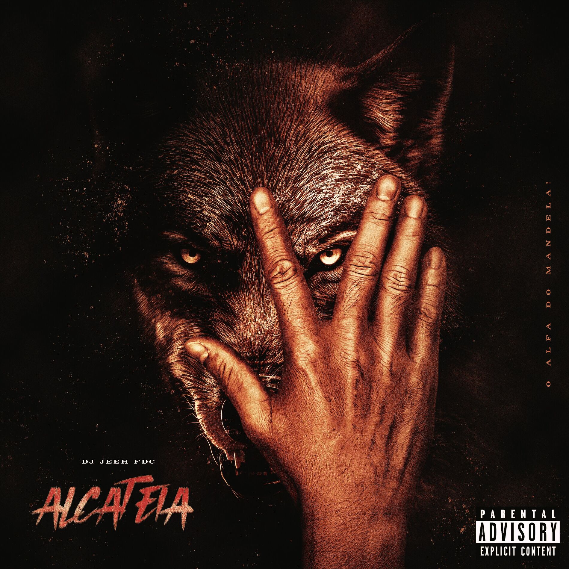 Album cover of No Automático