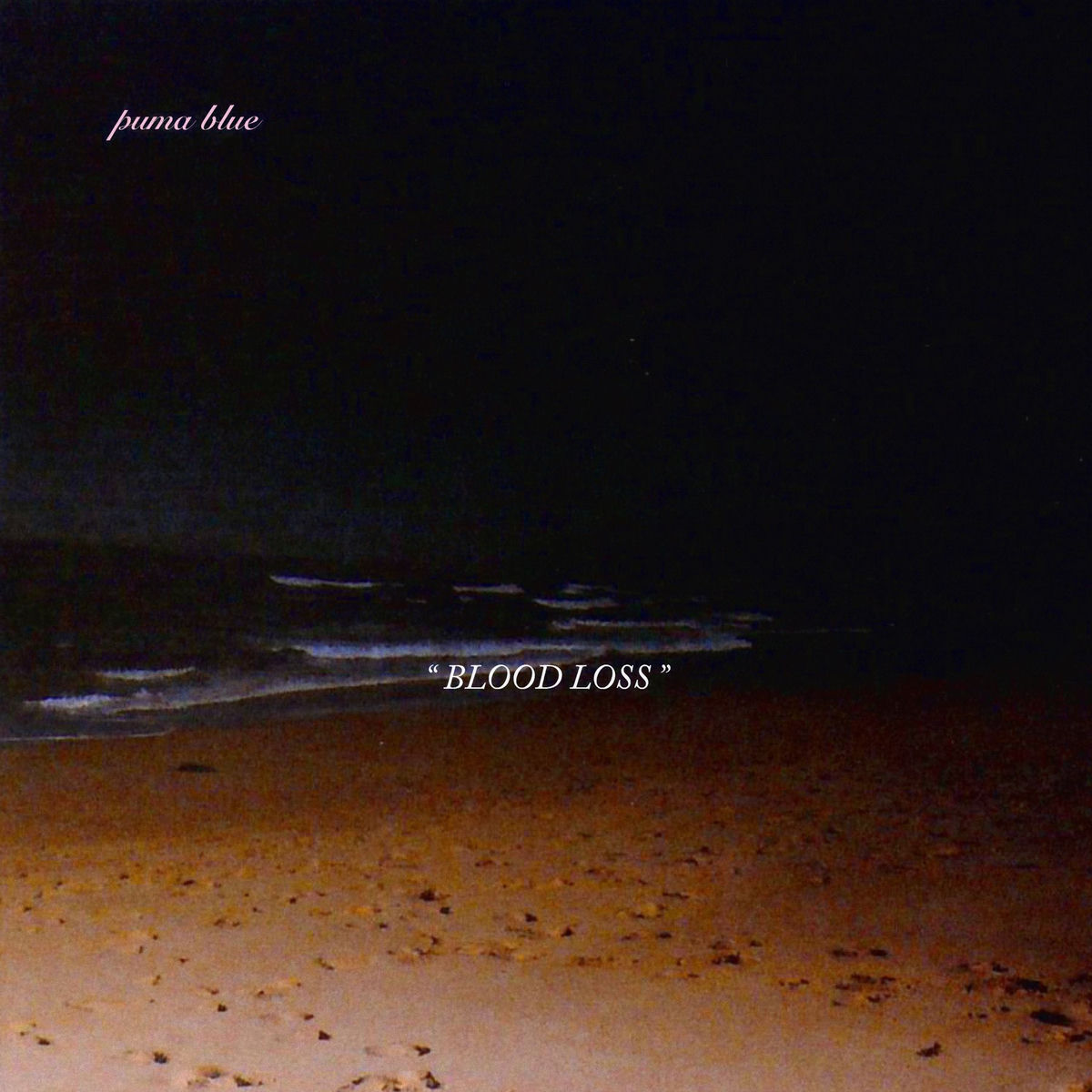 Album cover of Blood Loss
