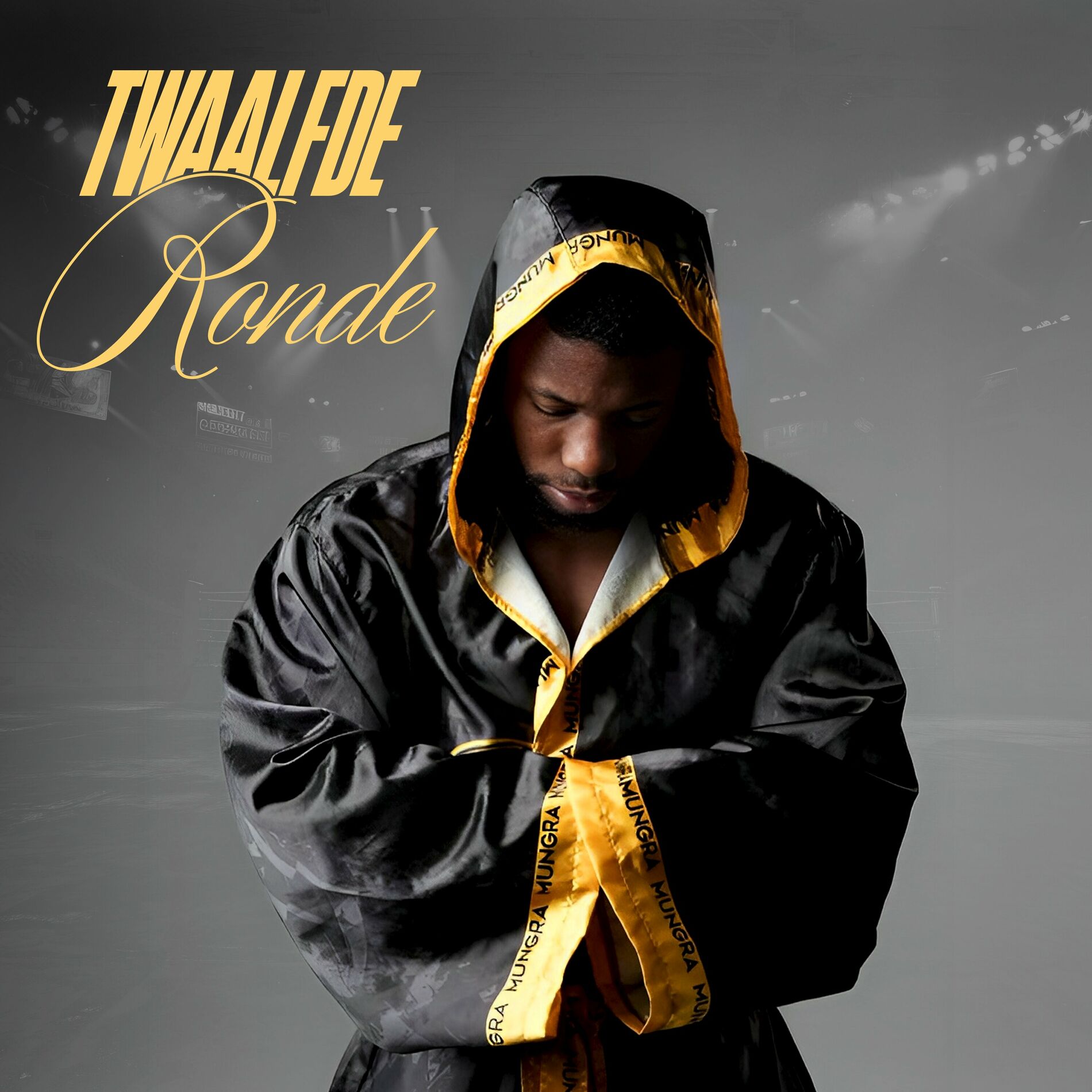 Album cover of Twaalfde Ronde