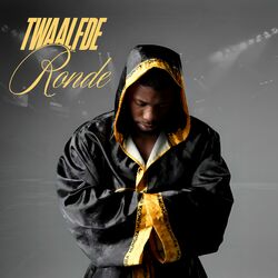 Cover of Twaalfde Ronde
