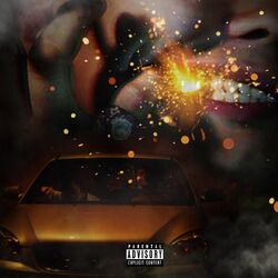Cover of Selfish Mind