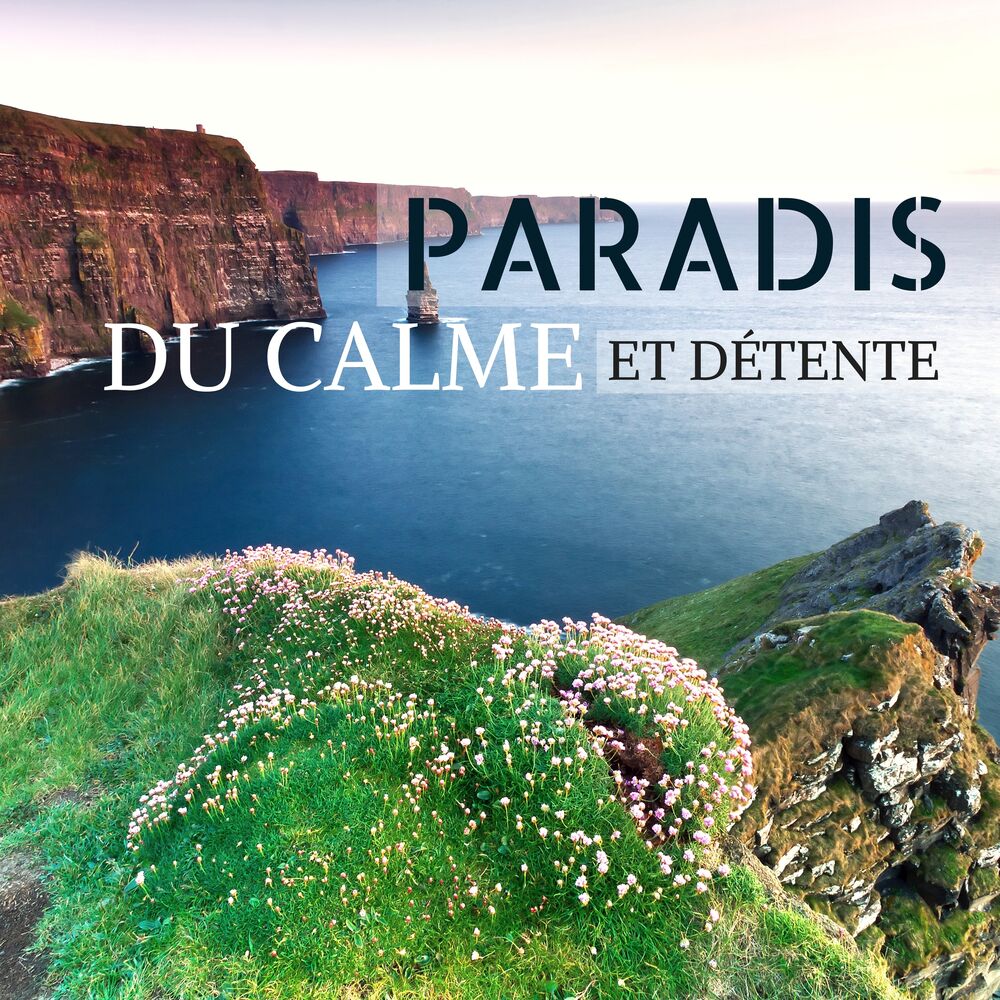 Picture of Paradis du calme et détente - Musique apaisante avec vagues océaniques