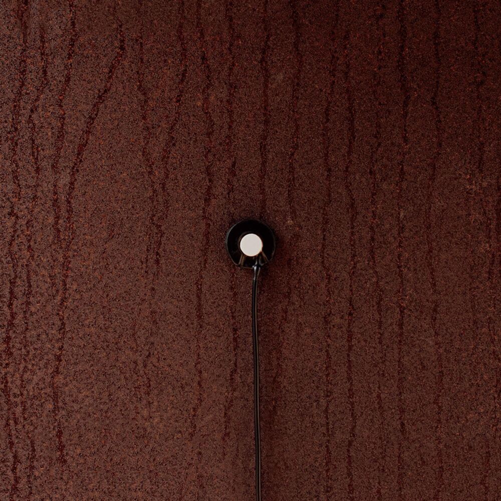 Picture of Rust