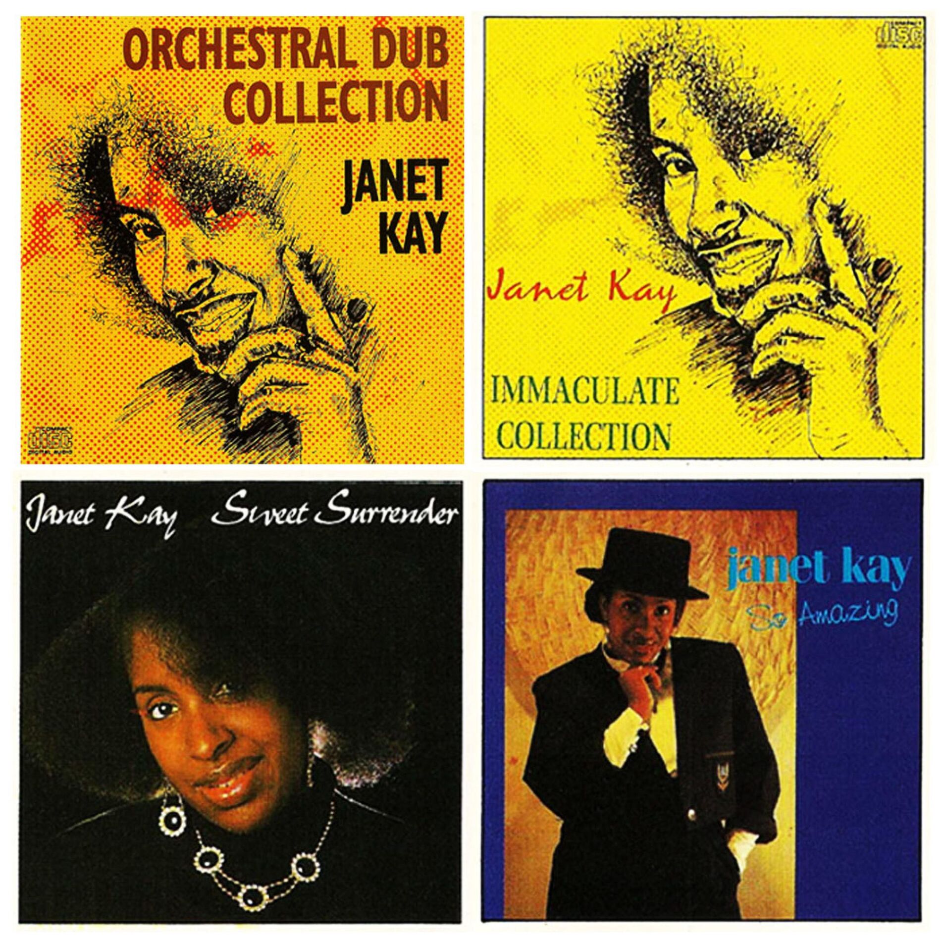 Album cover of Orchestral DUB Collection Janet KAY