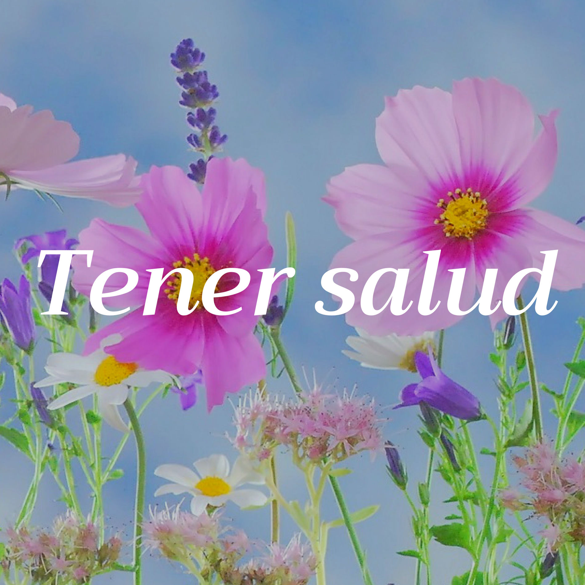 Album cover of Tener salud - Prevenir, Mantener o Mejorar tu Estado Físico, Restablece el Equilibrio y Bienestar