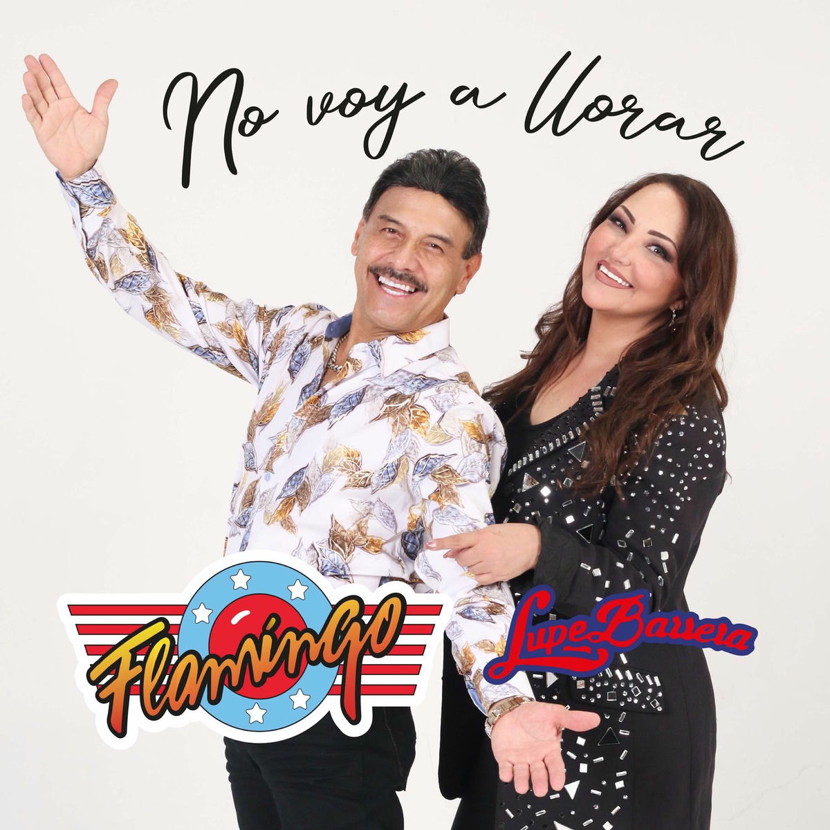 Album cover of No Voy a Llorar