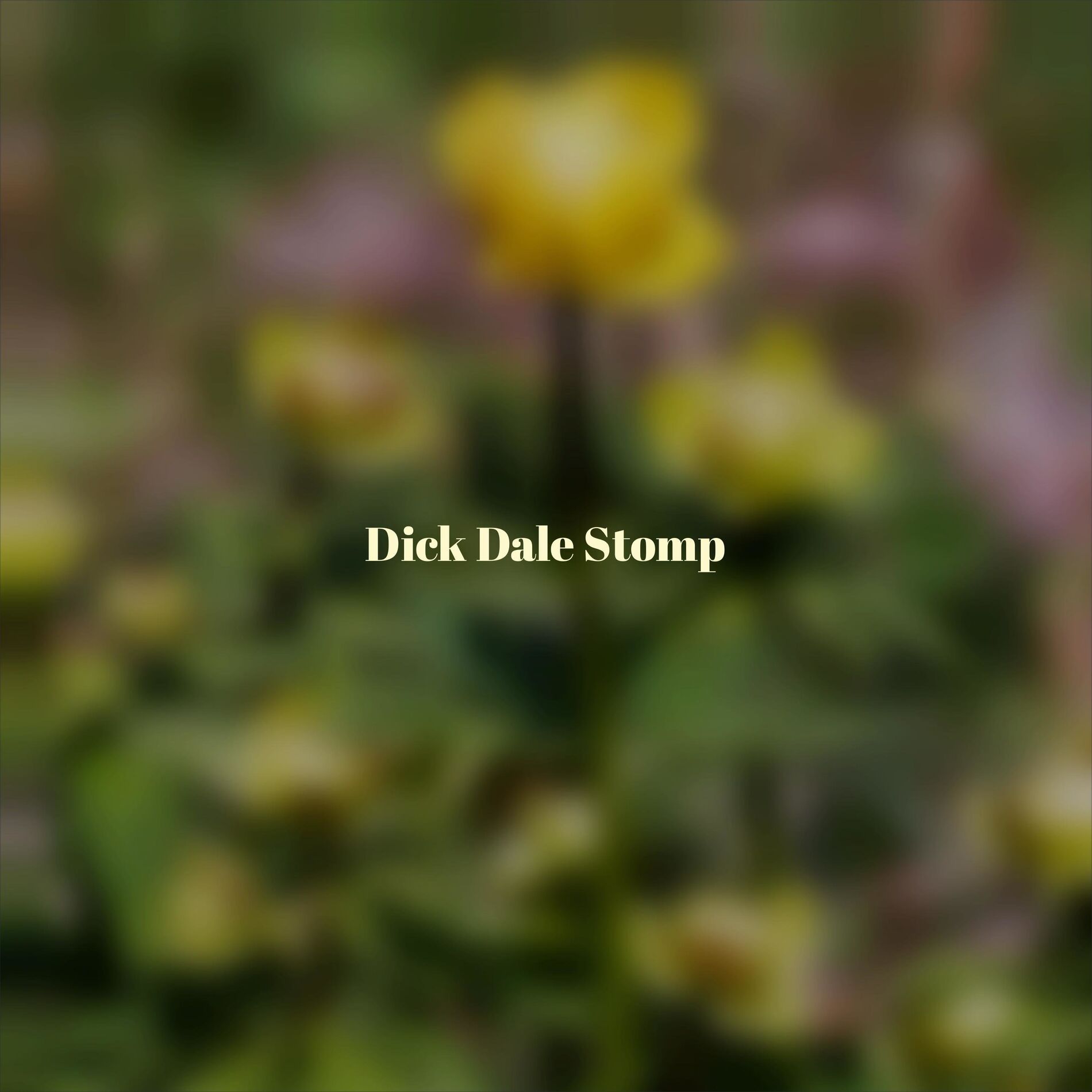 Album cover of Dick Dale Stomp