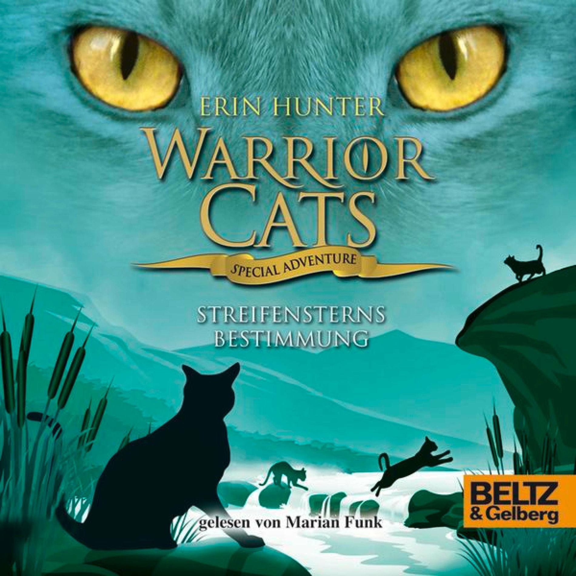 Album picture of Warrior Cats - Special Adventure. Streifensterns Bestimmung