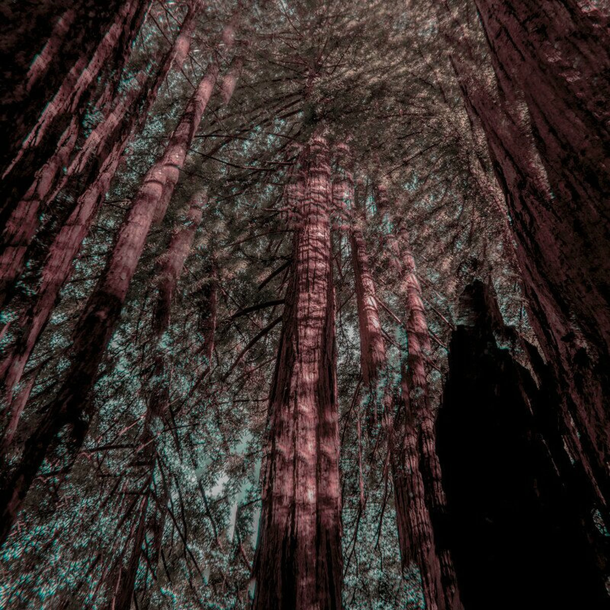 Album cover of Fractals