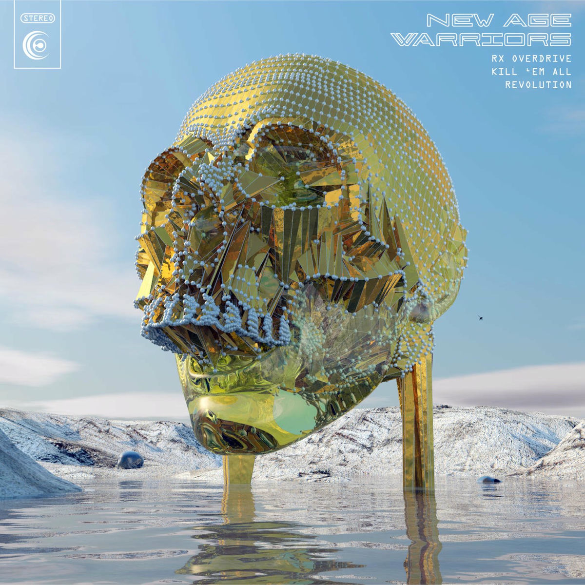 Album cover of New Age Warriors