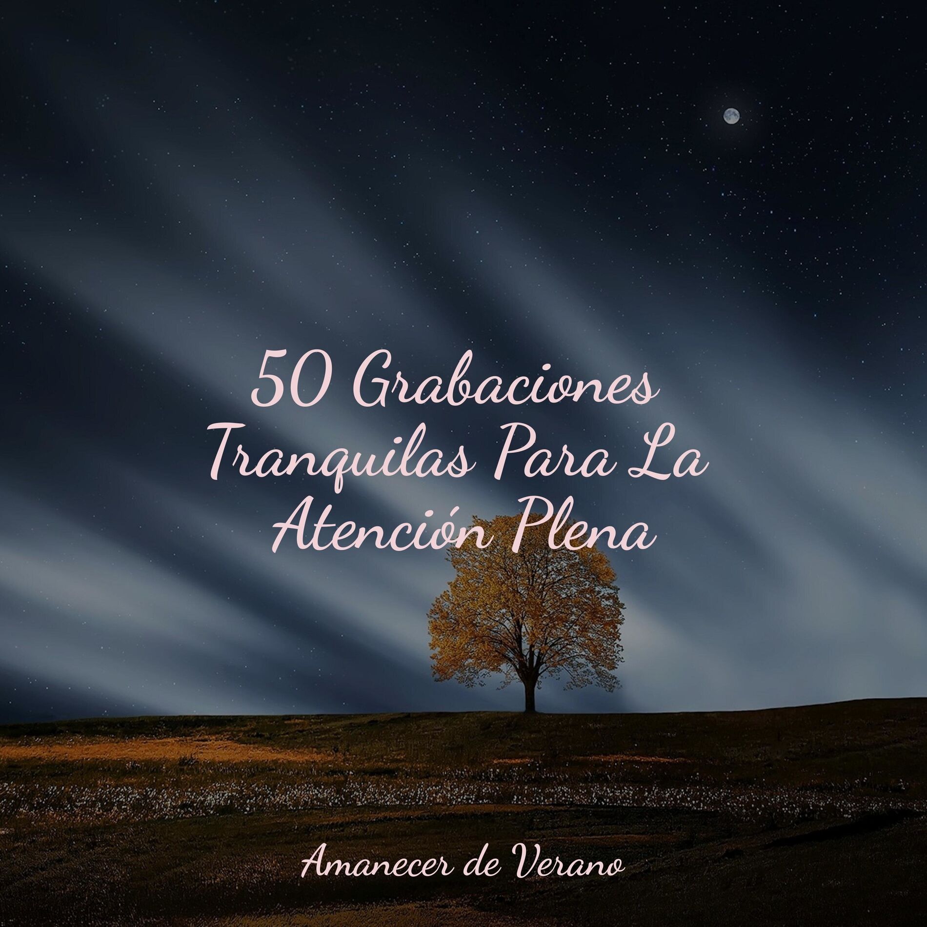Album cover of 50 Grabaciones Tranquilas Para La Atención Plena
