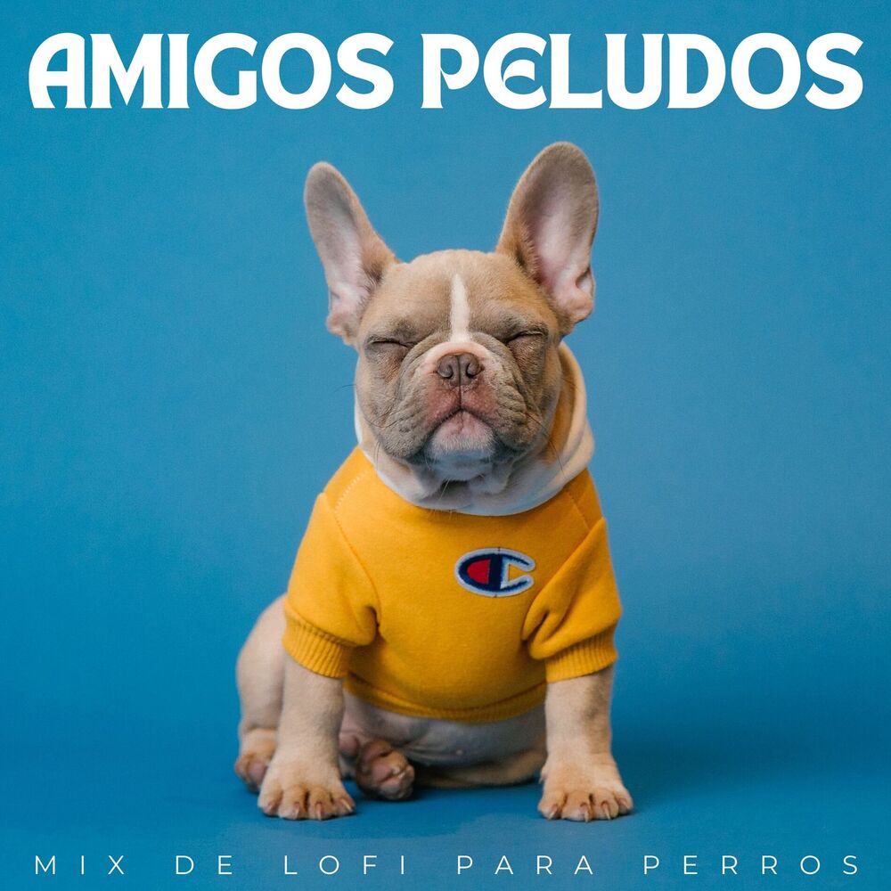Picture of Amigos Peludos: Mix De Lofi Para Perros