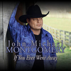 Cover of If You Ever Went Away