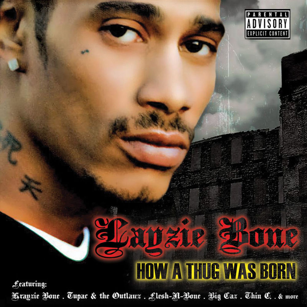 Pochette How a Thug Was Born