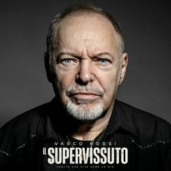 Cover of IL SUPERVISSUTO