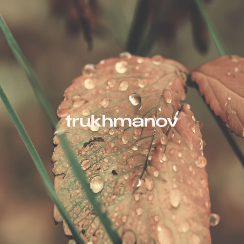 Autumn Shower