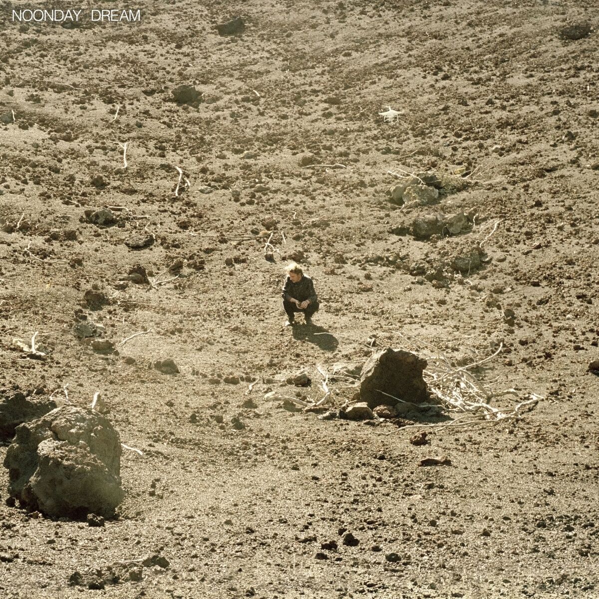 Album picture of Noonday Dream