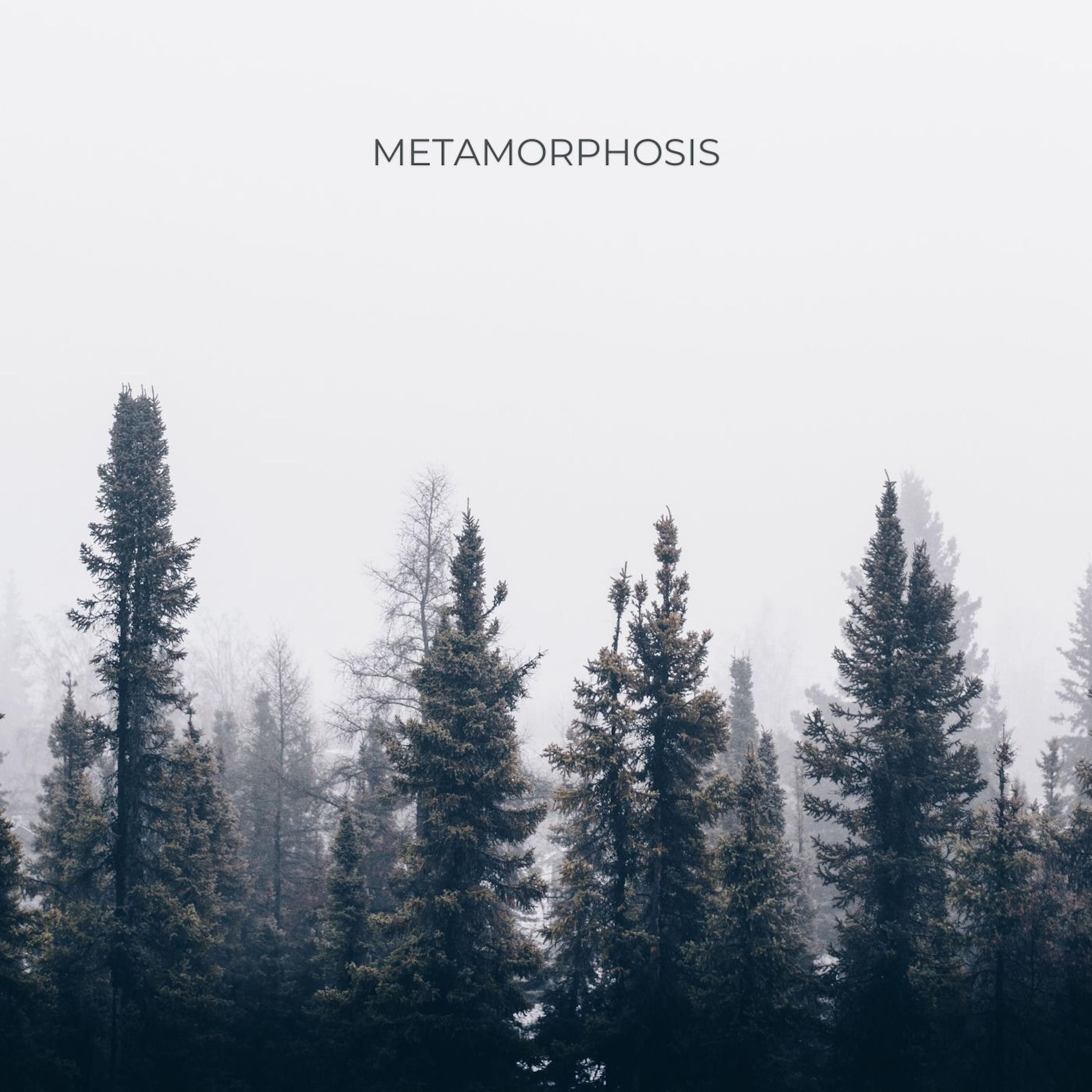 Album cover of Metamorphosis