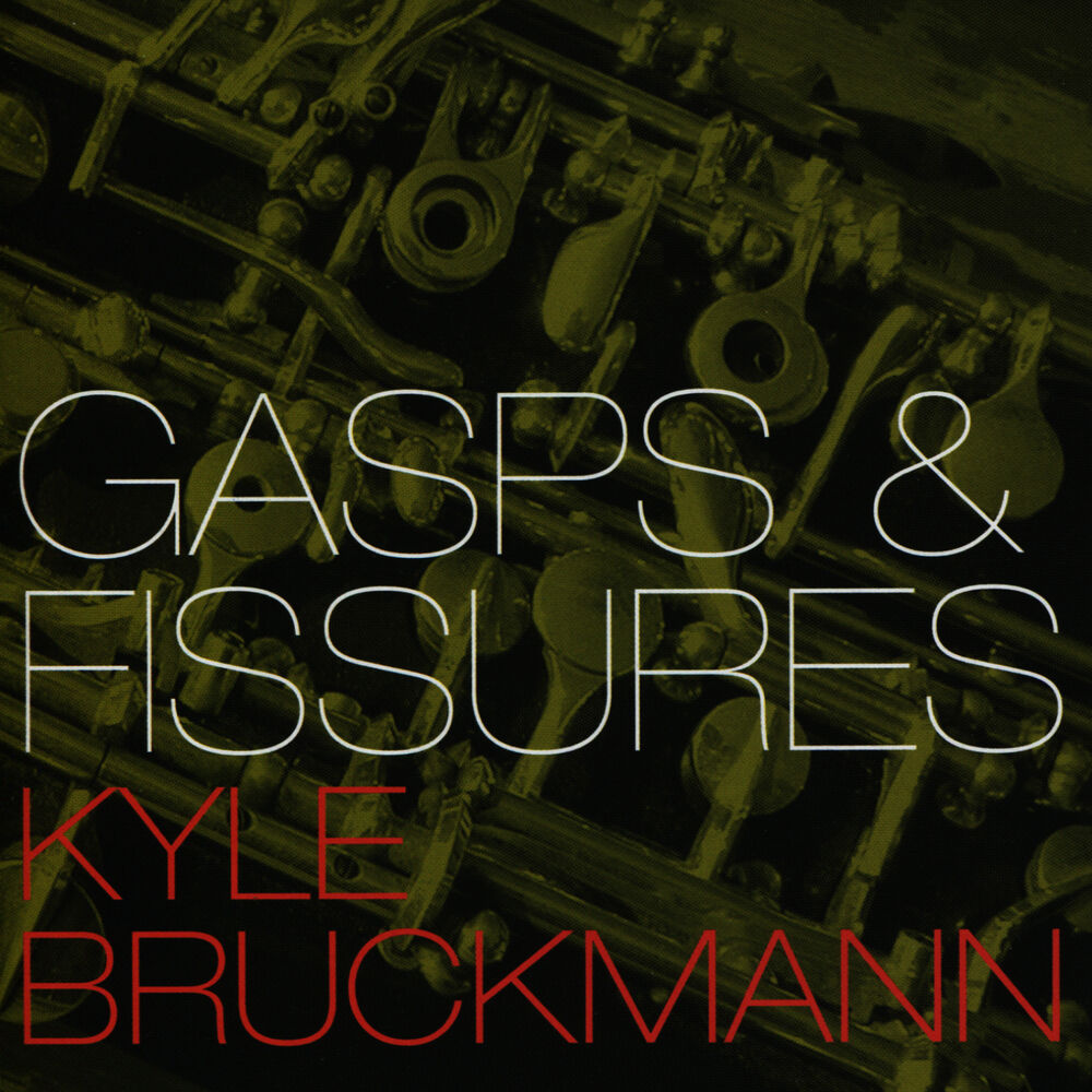 Picture of Gasps & Fissures