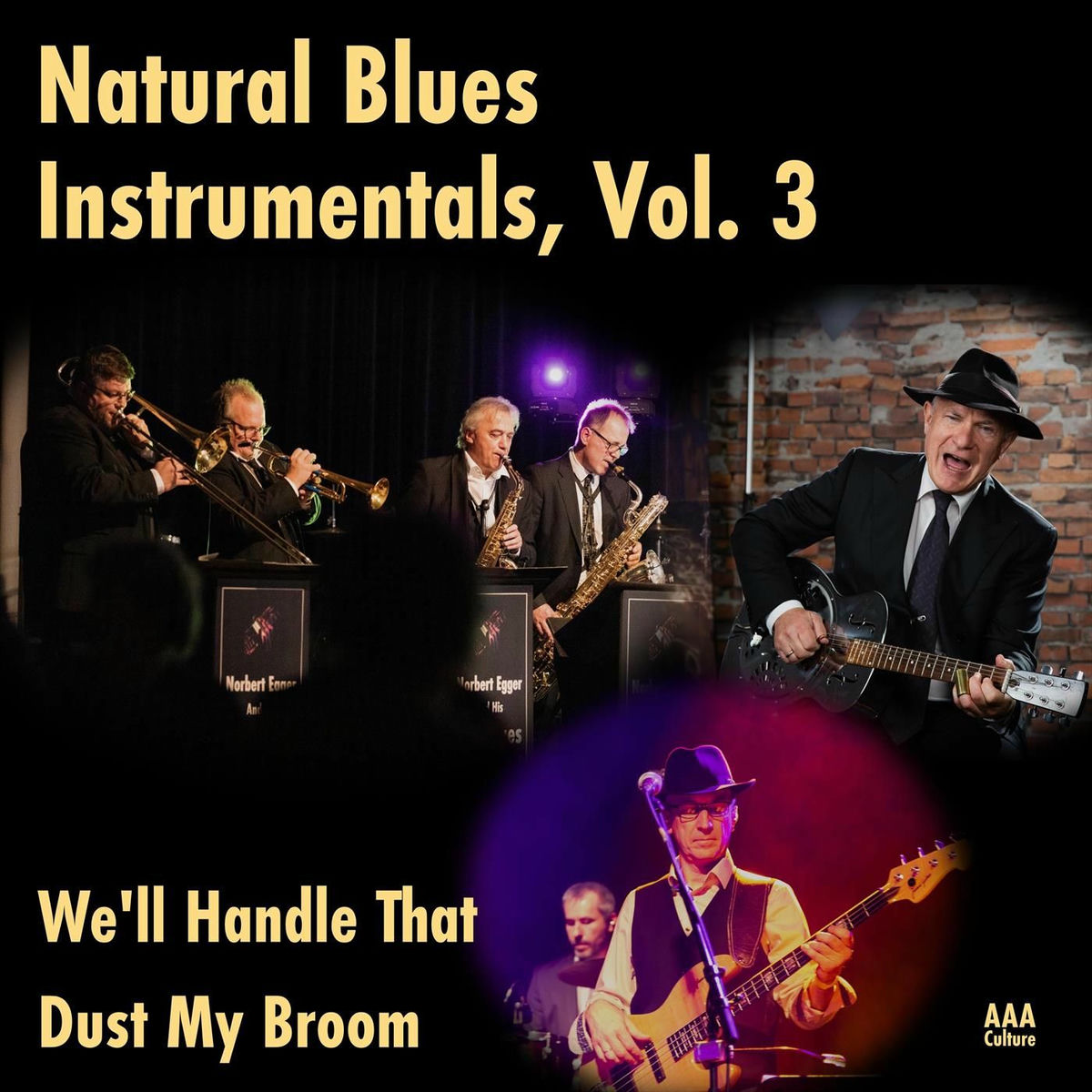 Album cover of Dust My Broom (feat. Steve Baker) (Instrumental)