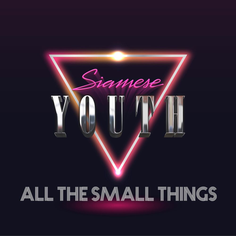 Picture of All the Small Things