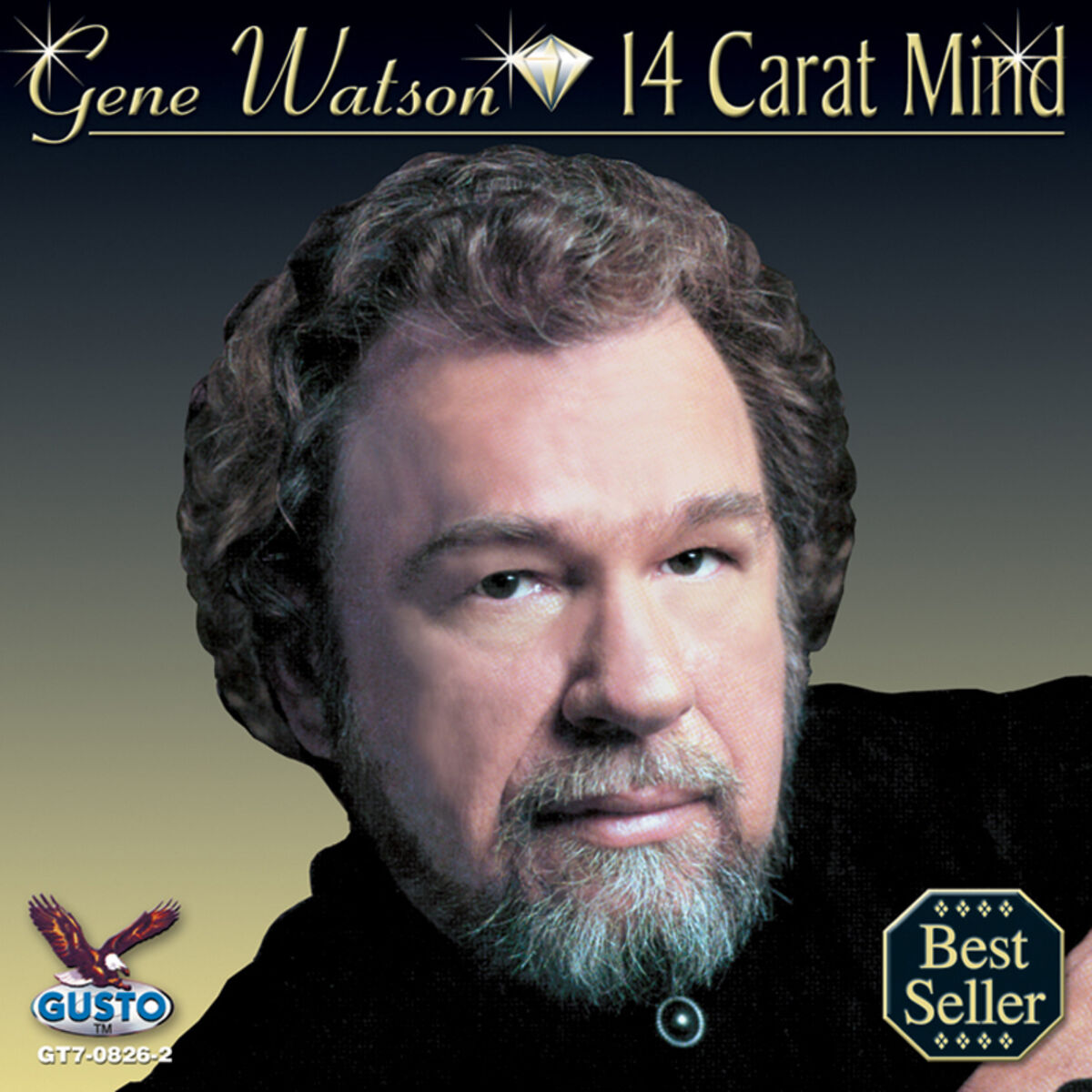 Album cover of Fourteen Carat Mind