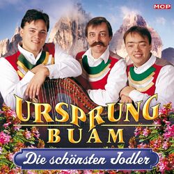 music cover