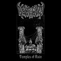 Temples of Ruin (2026 Remix & Remaster)