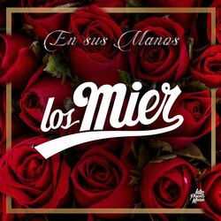 Cover of En Sus Manos