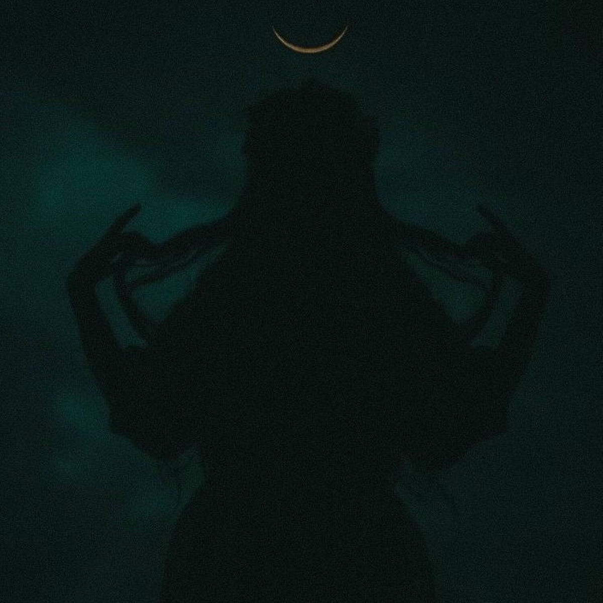 Album cover of PANIC (SLOWED)