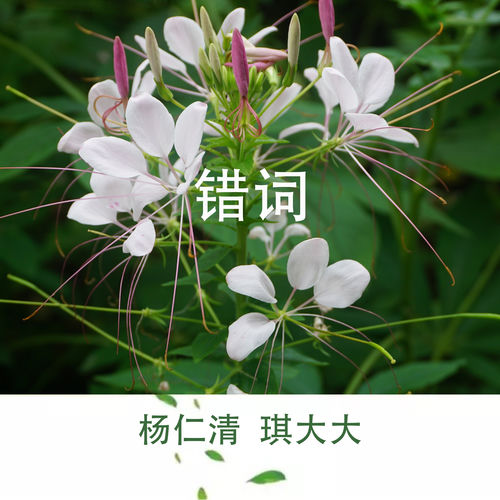 错词