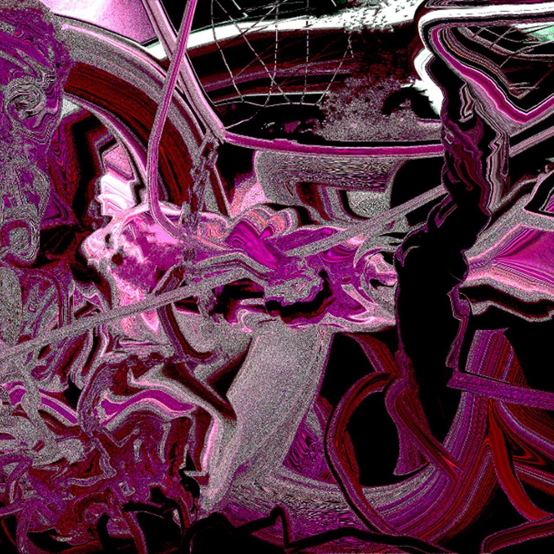 Album cover of I saw the garden