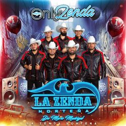 Cover of Only Zenda