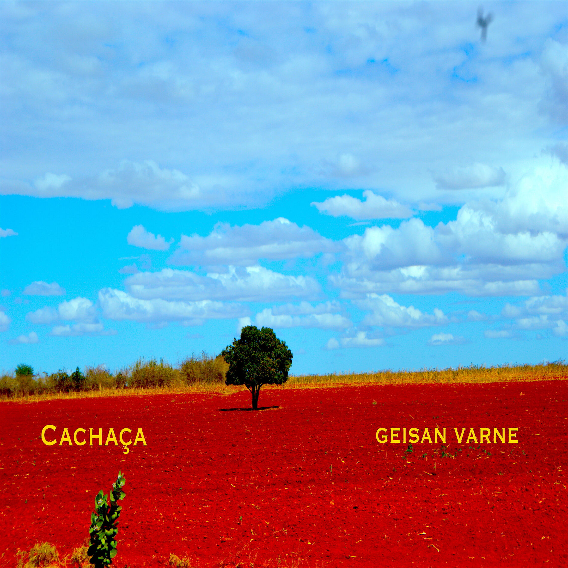 Album cover of Cala a Boca Menino