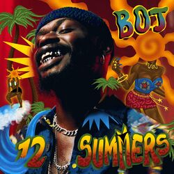Cover of 12 Summers