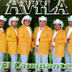 Cover of El Caminante