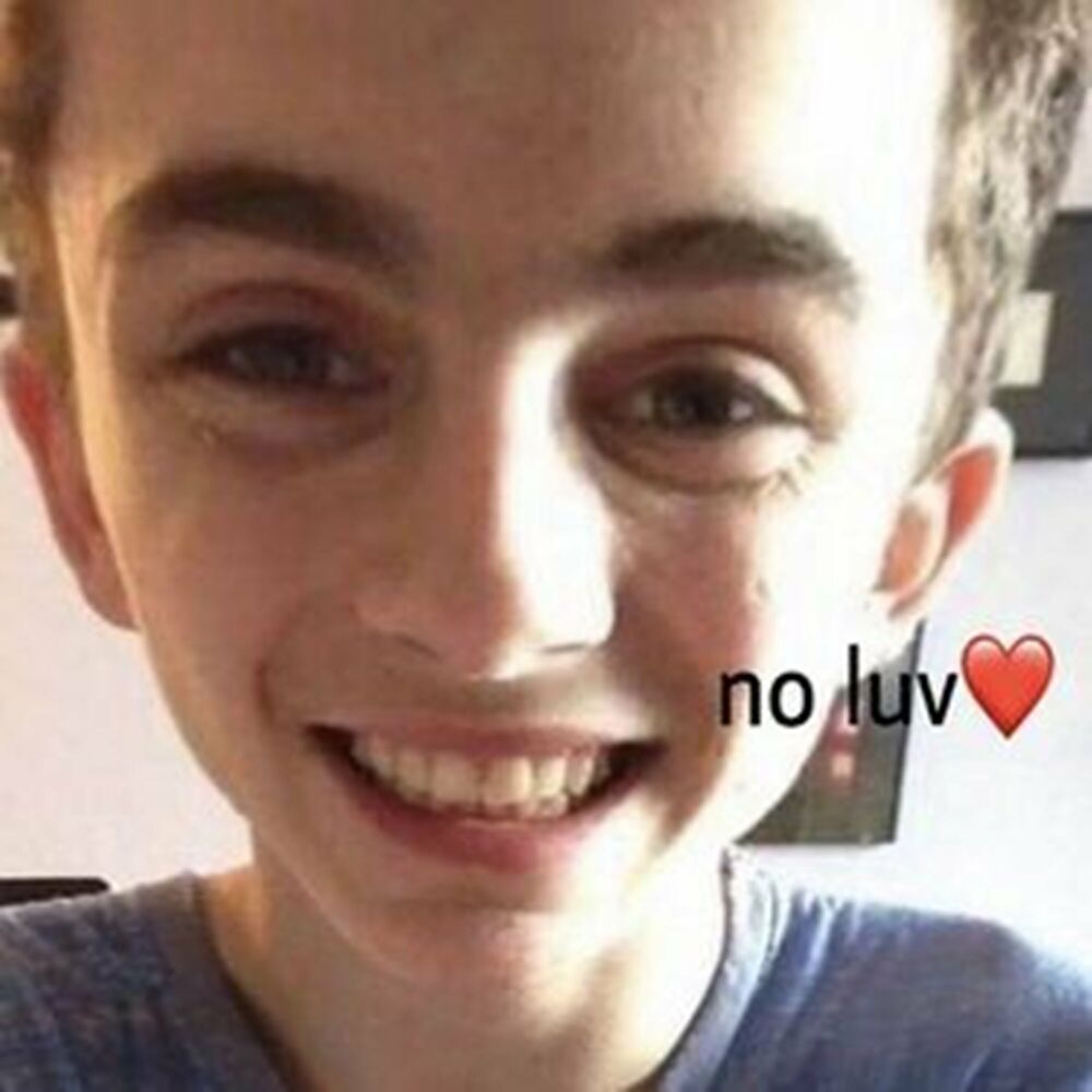 Picture of the wanderer, a song for timothée chalamet (remixes)
