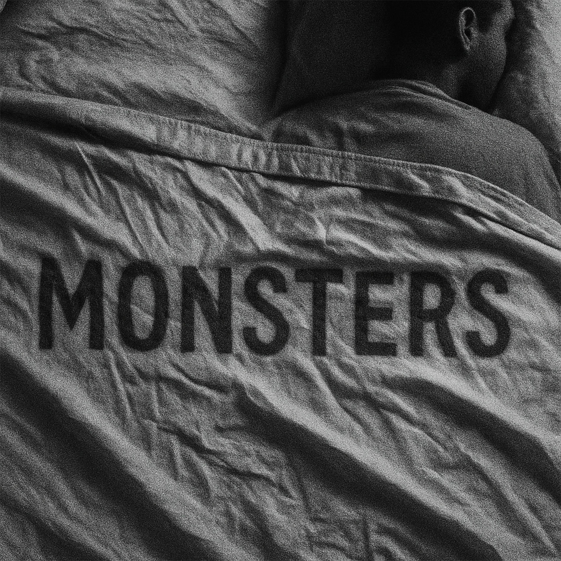 Album cover of Monsters