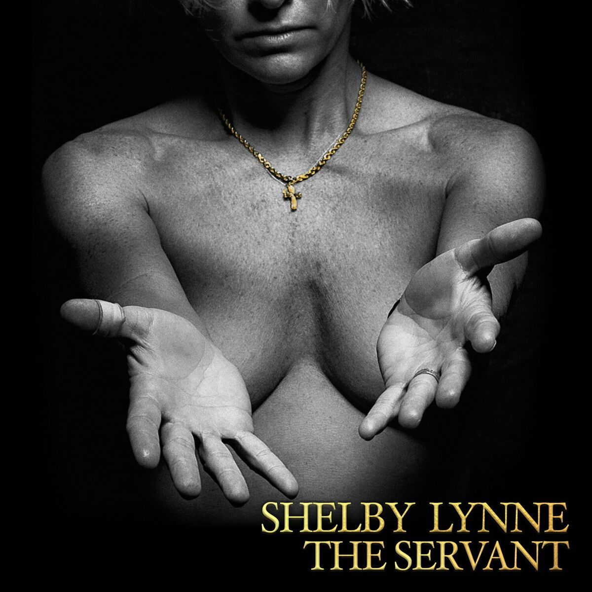 Album cover of The Servant