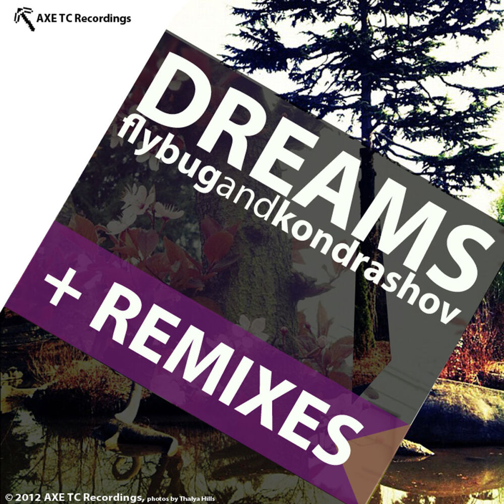 Picture of Dreams (+ Remixes)