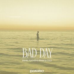 Cover of Bad Day