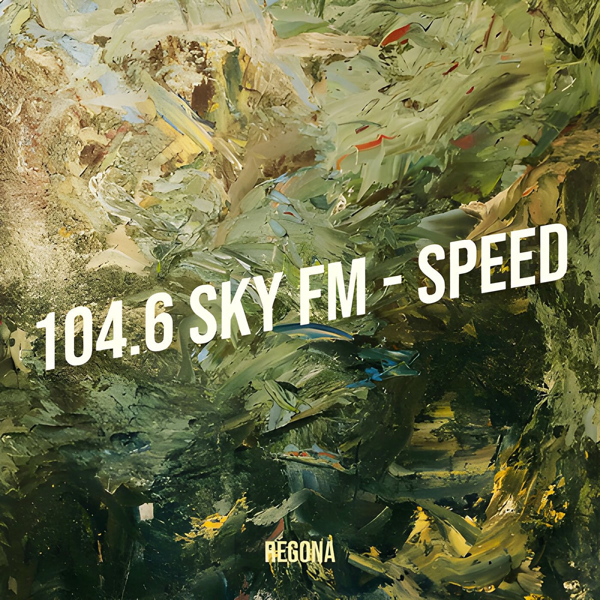 Album cover of 104.6 Sky Fm