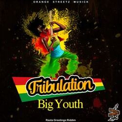Cover of TRIBULATION