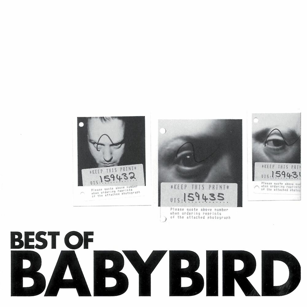Picture of Best of Babybird