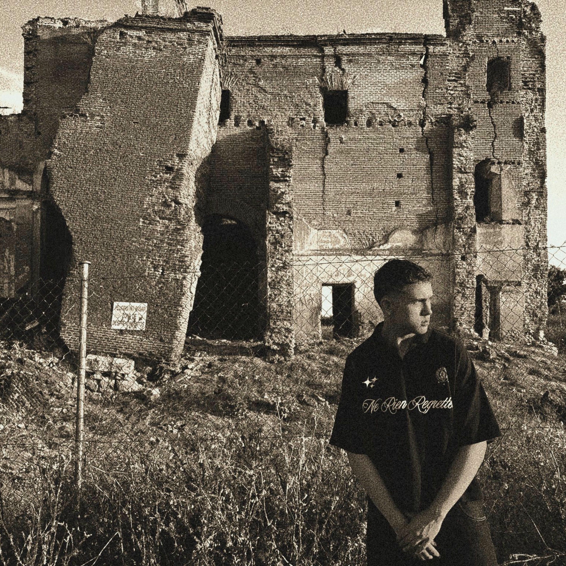 Album cover of ROSAS Y SERPIENTES