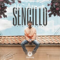 Cover of Un Album Sencillo