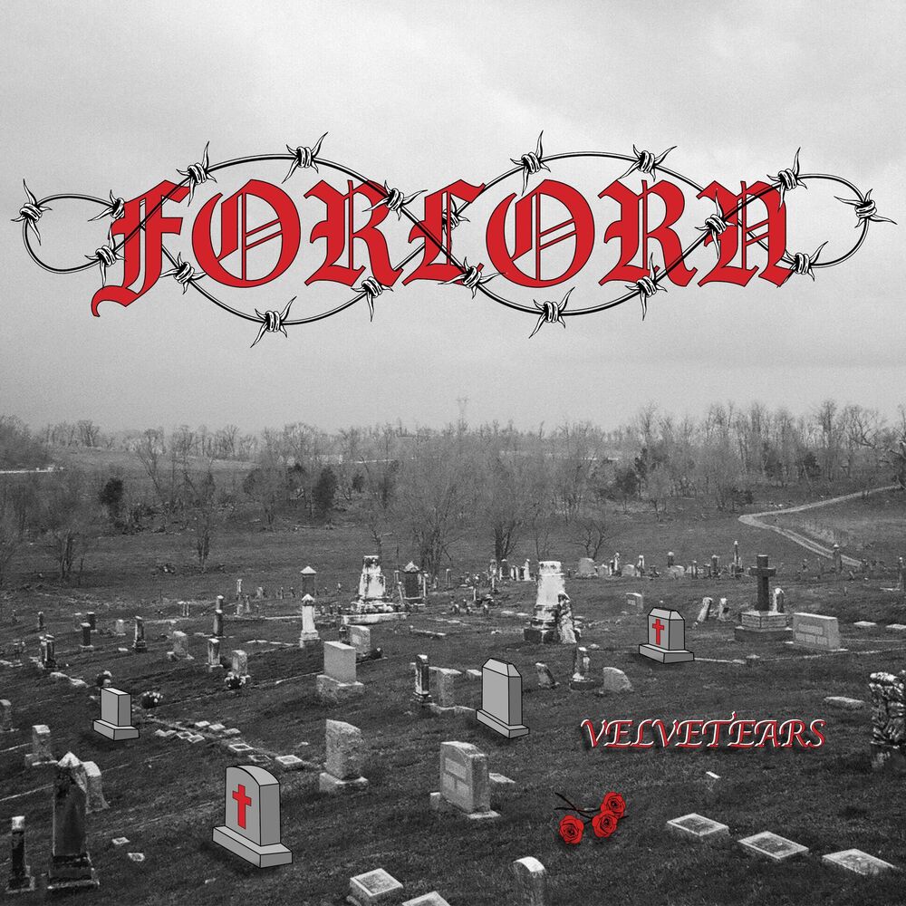 Picture of Forlorn
