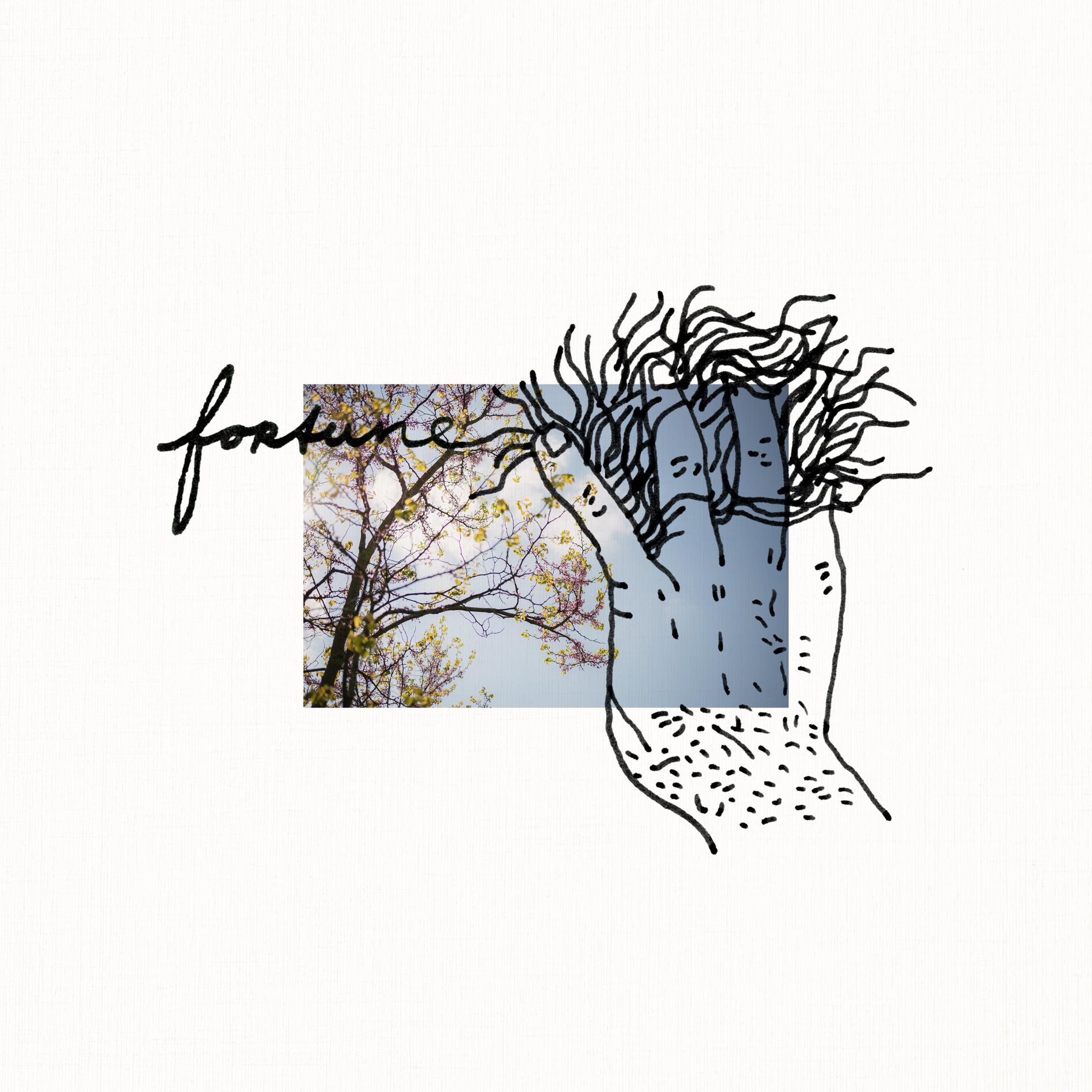 Album cover of Fortune (feat. Géonne Hartman)