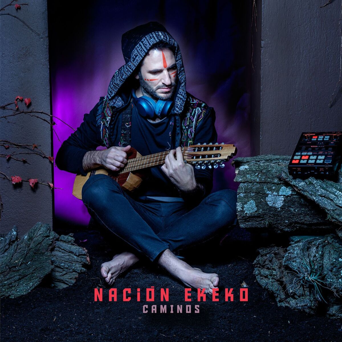 Album cover of Caminos